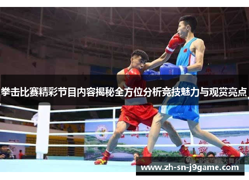 拳击比赛精彩节目内容揭秘全方位分析竞技魅力与观赏亮点