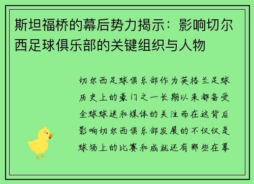 斯坦福桥的幕后势力揭示：影响切尔西足球俱乐部的关键组织与人物