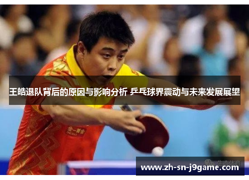 王皓退队背后的原因与影响分析 乒乓球界震动与未来发展展望